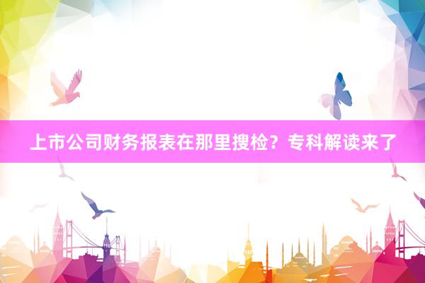 上市公司财务报表在那里搜检？专科解读来了